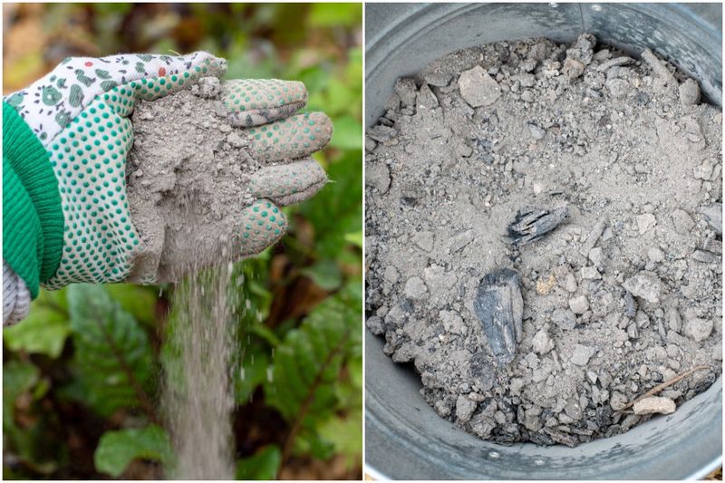 Wood Ash