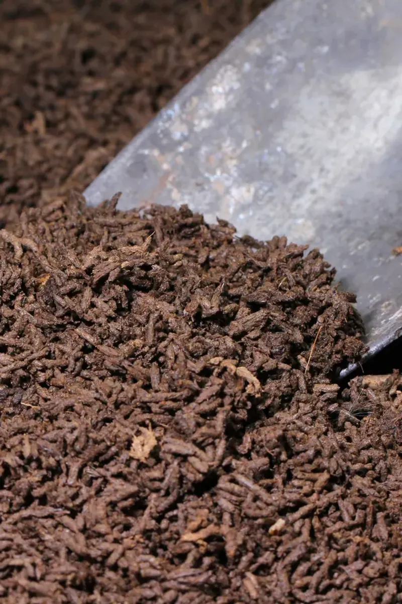 Worm Castings Worm Castings