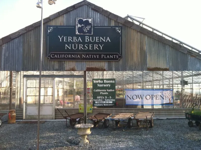 Yerba Buena Nursery (Half Moon Bay)