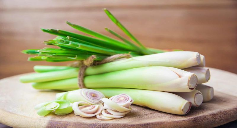 You Can Cook With It Straight From the Yard You Can Cook With It Straight From the Yard