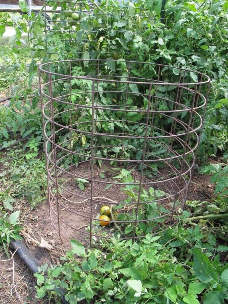 The problem is usually a mismatched cage, not support itself
