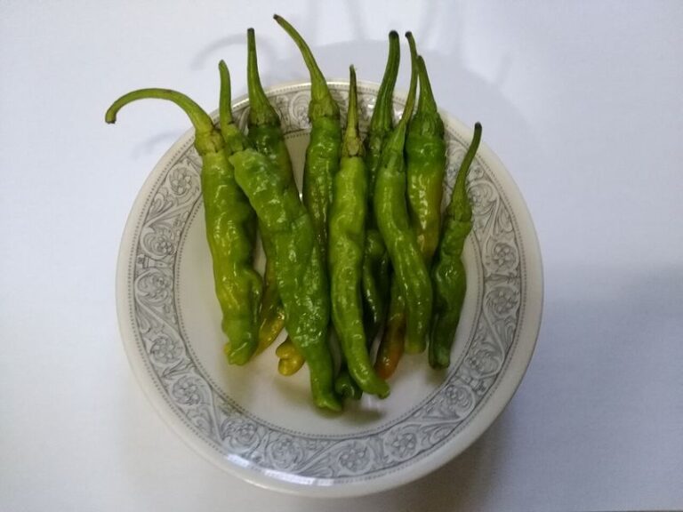 If your peppers set only tiny, thin-walled fruit in this heat, one feeding mistake is usually behind it