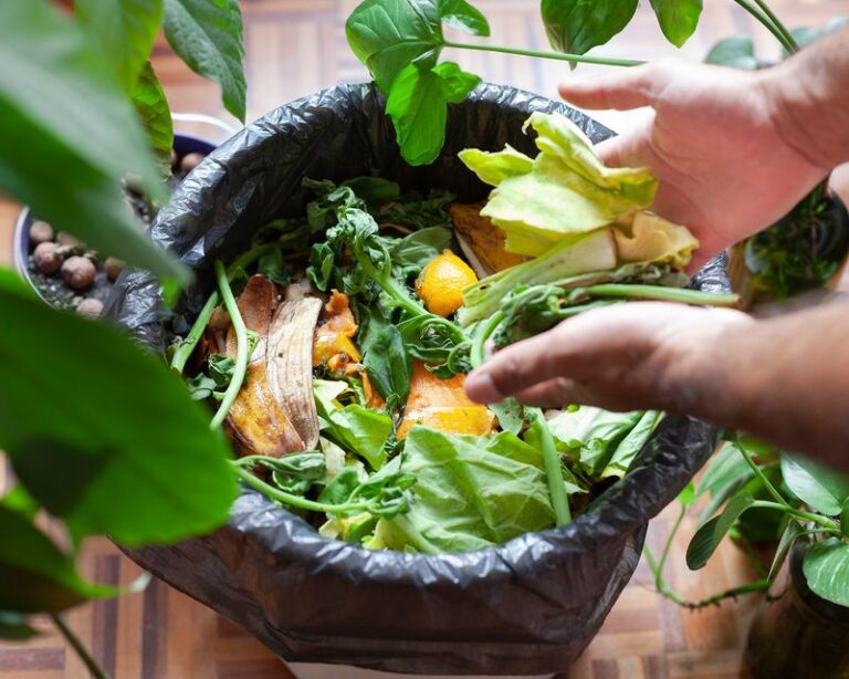 17 Single-Ingredient Kitchen Scraps That Feed Your Tomatoes Into a Bigger Harvest
