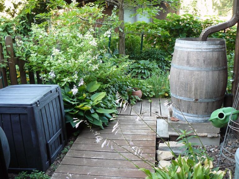 Set Up a Rain Barrel Once and Your North Carolina Container Garden Has Water All Summer