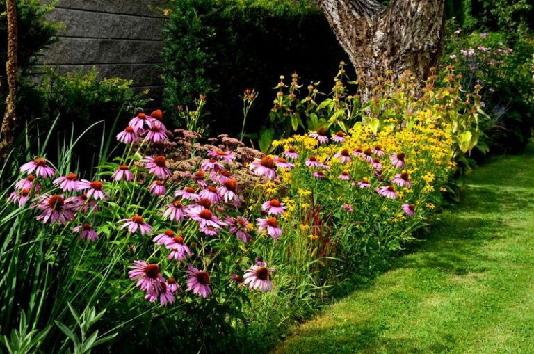 10 Perennials That Quietly Get More Spectacular Every Single Year