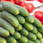 Bitter Cucumbers and Tough Ends in the Heat: How Uneven Watering May Be Contributing