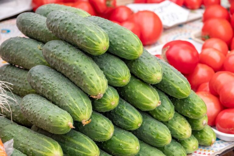 Bitter Cucumbers and Tough Ends in the Heat: How Uneven Watering May Be Contributing