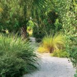 8 Native Florida Plants That Replace Your Lawn and Look Better by Next Summer
