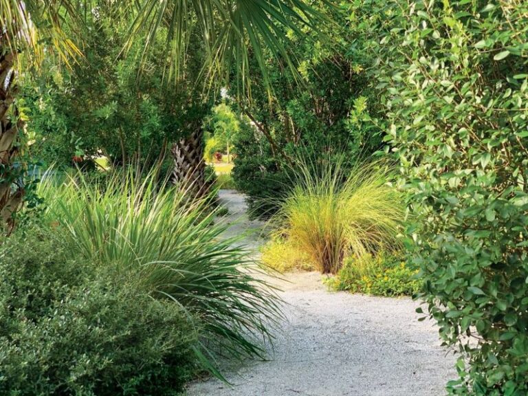 8 Native Florida Plants That Replace Your Lawn and Look Better by Next Summer