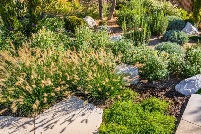 The Fire-Resistant Texas Groundcovers That Belong Against Your House Instead of Bark Mulch