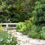Local Plant Rules in California Are More Specific Than Most Homeowners Realize