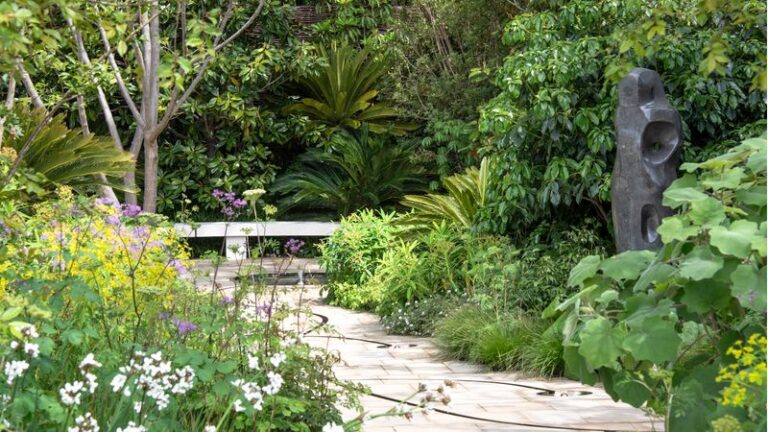 Local Plant Rules in California Are More Specific Than Most Homeowners Realize