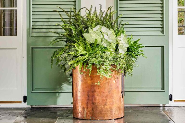 Filling a Big Planter? Here’s the Trick That Saves You Bags of Soil Without Starving the Roots
