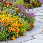 Skip the Petunias in Your Hottest Beds — These Heat-Loving Flowers Won’t Melt