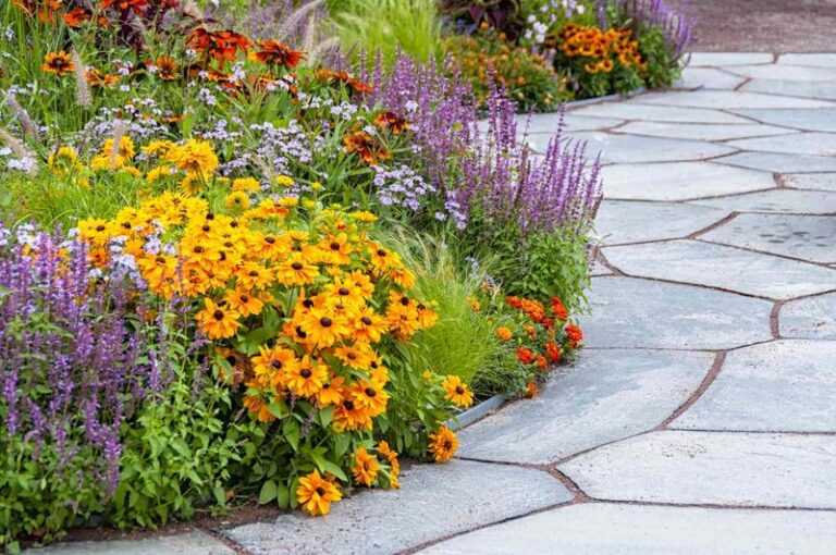 Skip the Petunias in Your Hottest Beds — These Heat-Loving Flowers Won’t Melt