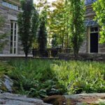 The 8 Native Florida Plants That Cover The Ground Better Than Mulch And Look Designed