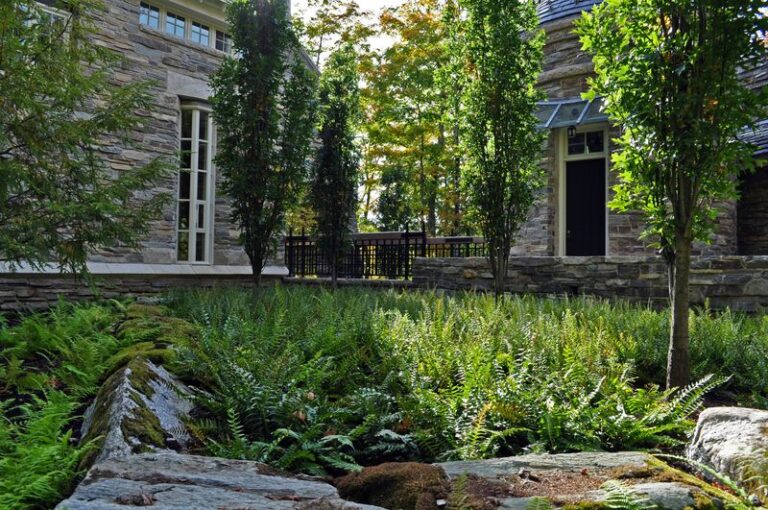 The 8 Native Florida Plants That Cover The Ground Better Than Mulch And Look Designed