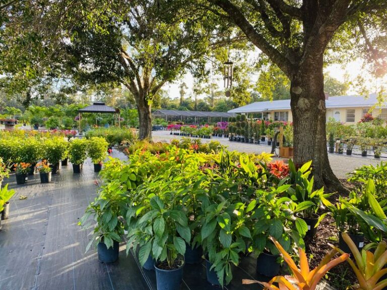 The Best Florida Native Plant Nurseries Worth the Drive When Big Garden Centers Fall Short