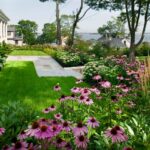 15 Spots Where Coneflowers Quietly Fail — and the 4 Where They Finally Take Off