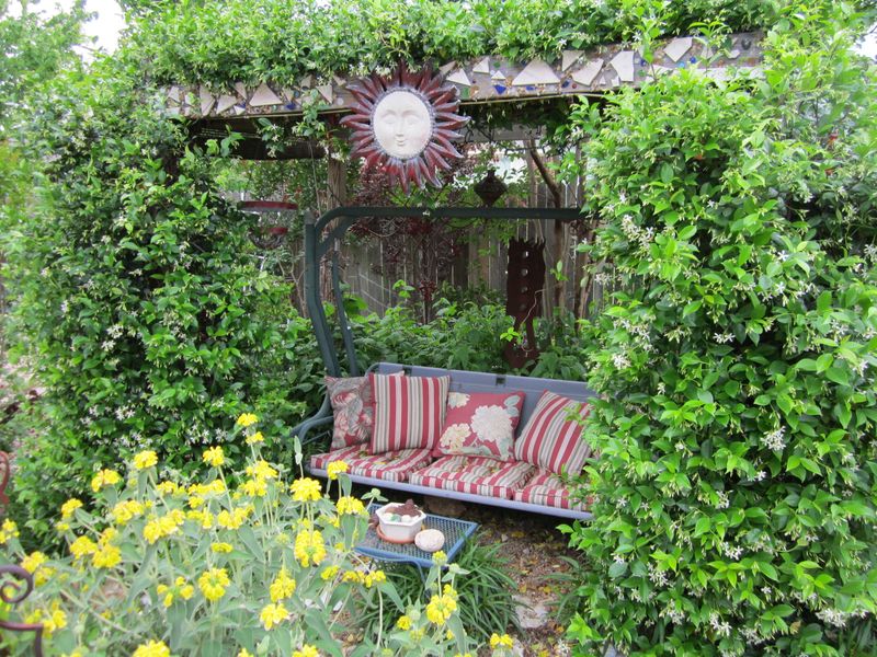 Plant Star Jasmine Near Your Texas Front Entry for a Seasonal Fragrance Welcome