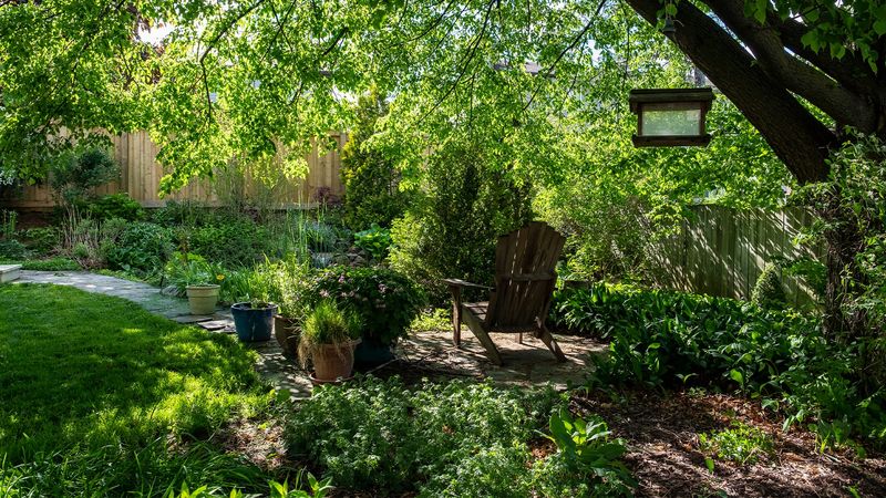 These 9 Backyard Birds Pick Your Yard Because It Gives Them Exactly What They’re Hunting For