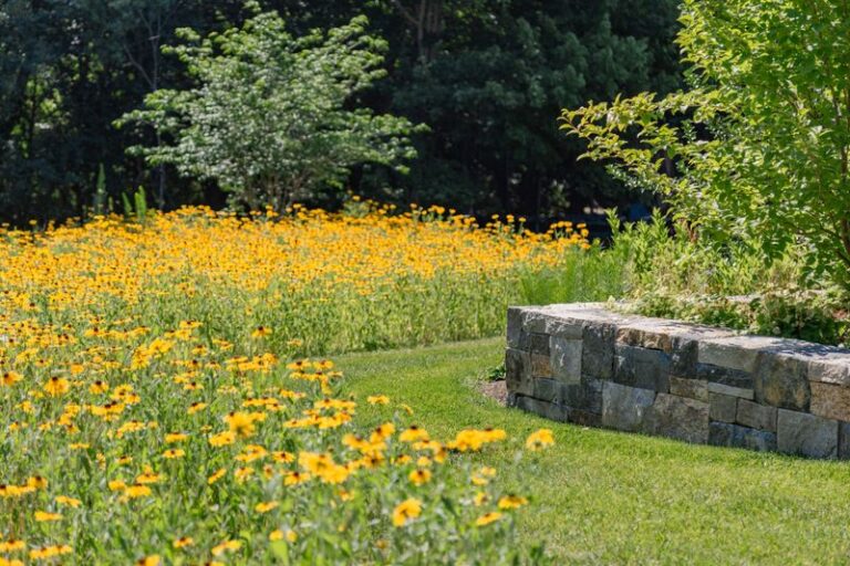 How to Turn a Corner of Your Florida Yard Into a Wildflower Meadow That Runs Itself