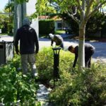 The Native Lawn Plant Florida HOAs Keep Fighting – Even Though State Law May Be on Your Side