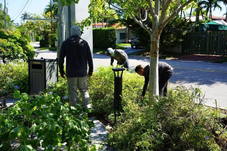 The Native Lawn Plant Florida HOAs Keep Fighting – Even Though State Law May Be on Your Side
