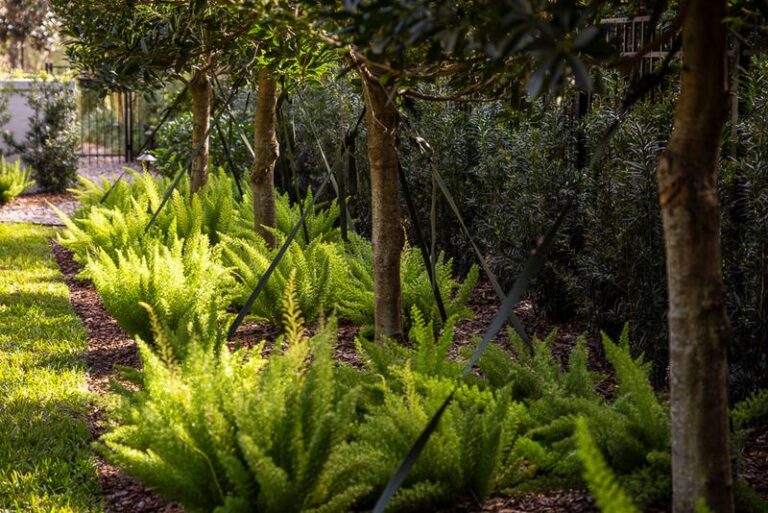 7 Florida native ground covers that look expensive and quietly send the roaches packing as a bonus