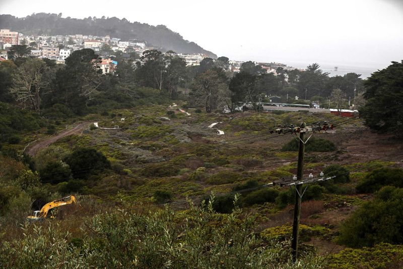 A backyard forms only one part of the quail landscape