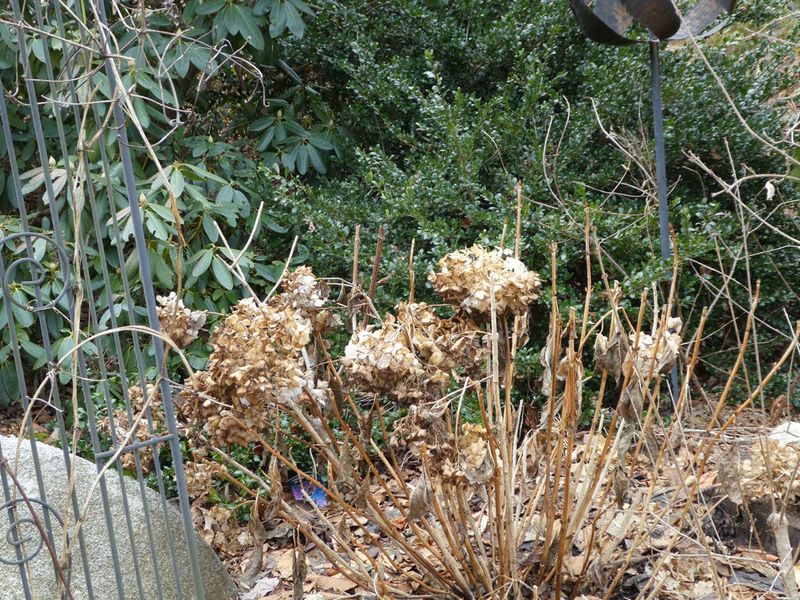 A bad bloom year may start somewhere besides the house side