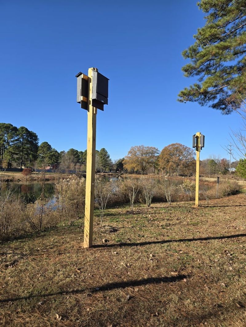 A bat house provides a possible roost, not a patio reservation A bat house provides a possible roost, not a patio reservation