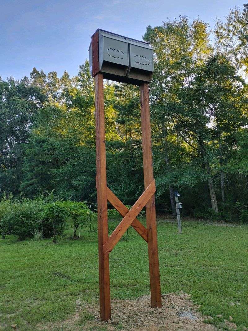 A bat house provides potential roosting space, not instant mosquito control A bat house provides potential roosting space, not instant mosquito control