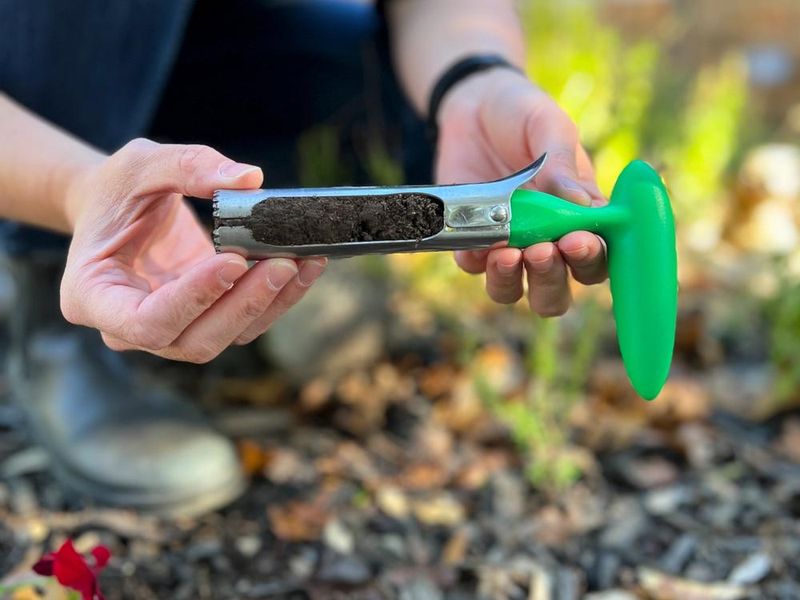 A box turtle cannot replace a soil test