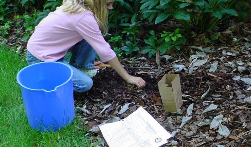 A box turtle is not a soil test or pest survey A box turtle is not a soil test or pest survey