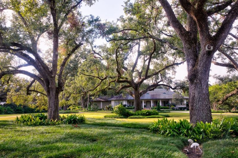 A cooler canopy can change the lawn A cooler canopy can change the lawn