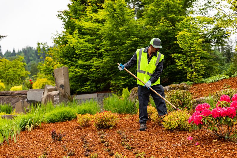 A lighter fall chore can still be good lawn stewardship