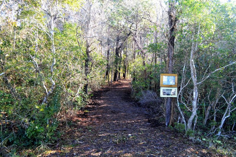 A managed habitat edge may help separate wildlife from high-use areas