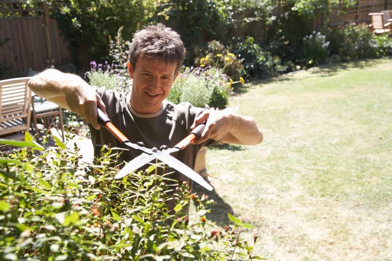 A neighbor may trim overhangs, but not recklessly