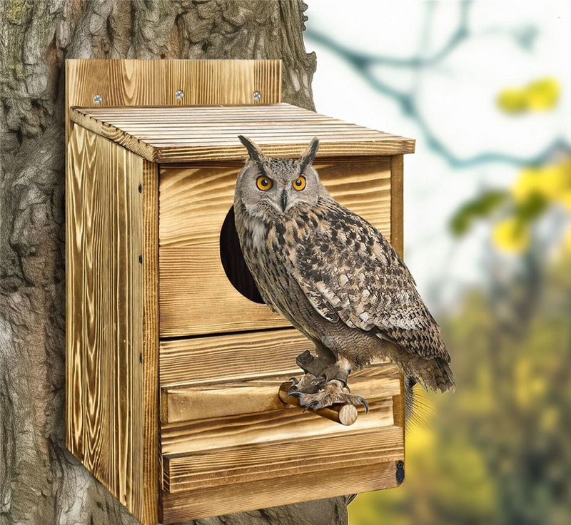 A nest box can support the patrol, but it cannot replace gopher control A nest box can support the patrol, but it cannot replace gopher control