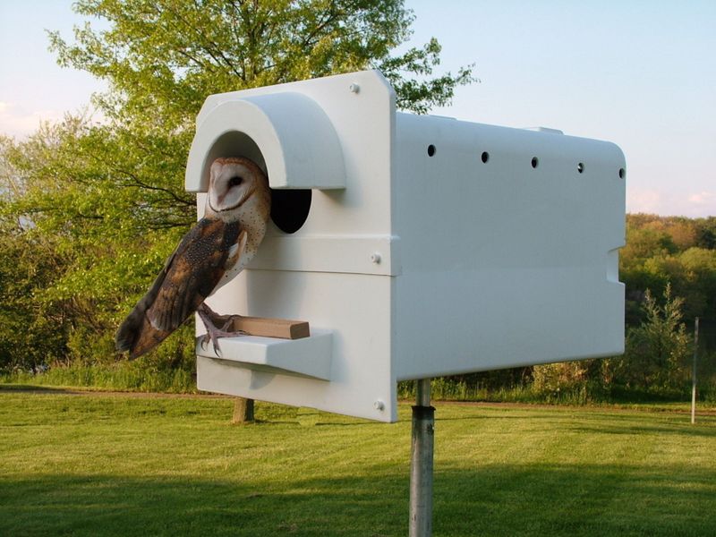 A nest box may help some rodent problems—but it cannot promise eradication
