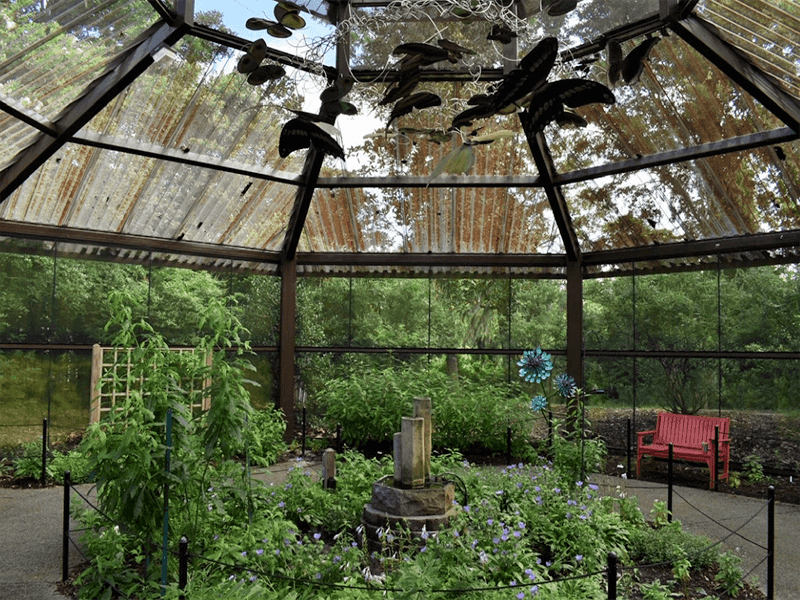 A quiet yard is not the same as a population collapse
