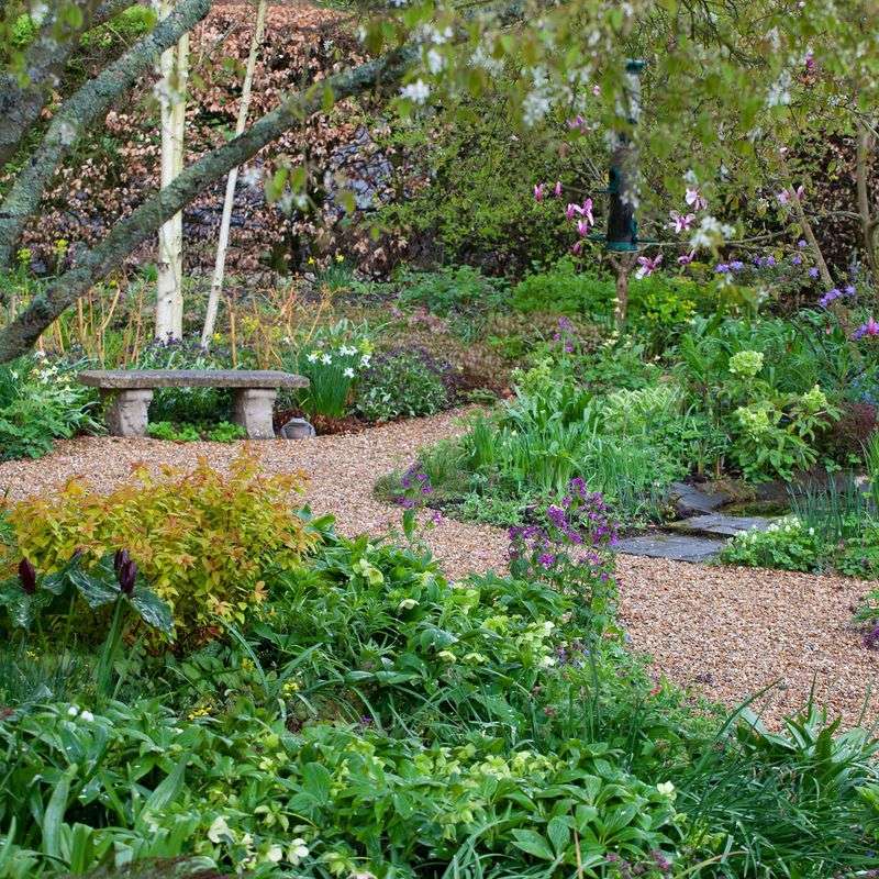 A shady border can provide adult resting cover