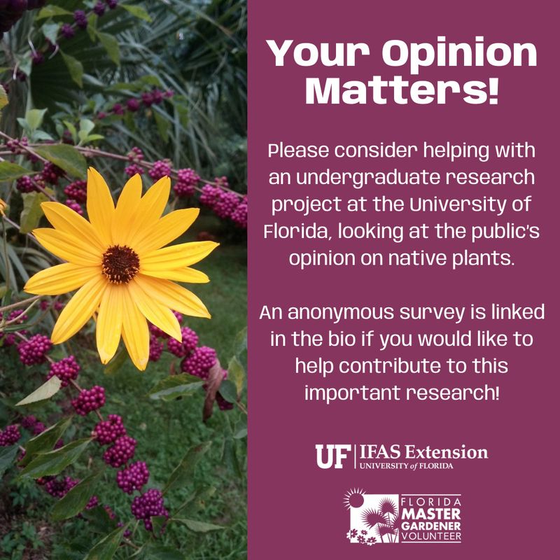 A standing beautyberry does not create a mosquito-free yard