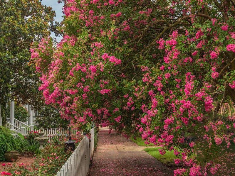 A summer cleanup affects this season, not next summer