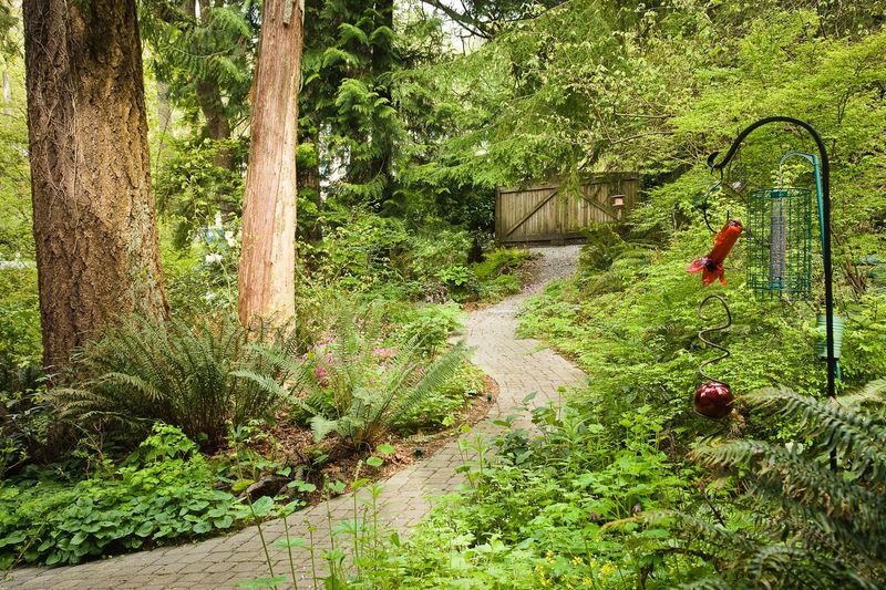 A wildlife-friendly yard can support predators and prey together
