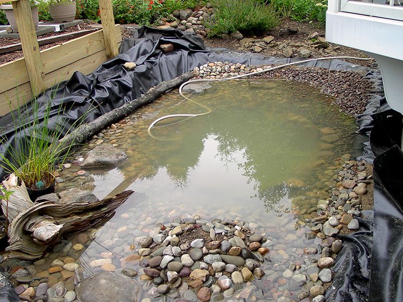 A wildlife pond still needs mosquito management A wildlife pond still needs mosquito management
