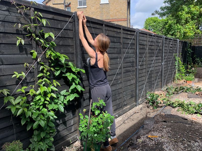 Add narrow lines instead of replacing the trellis