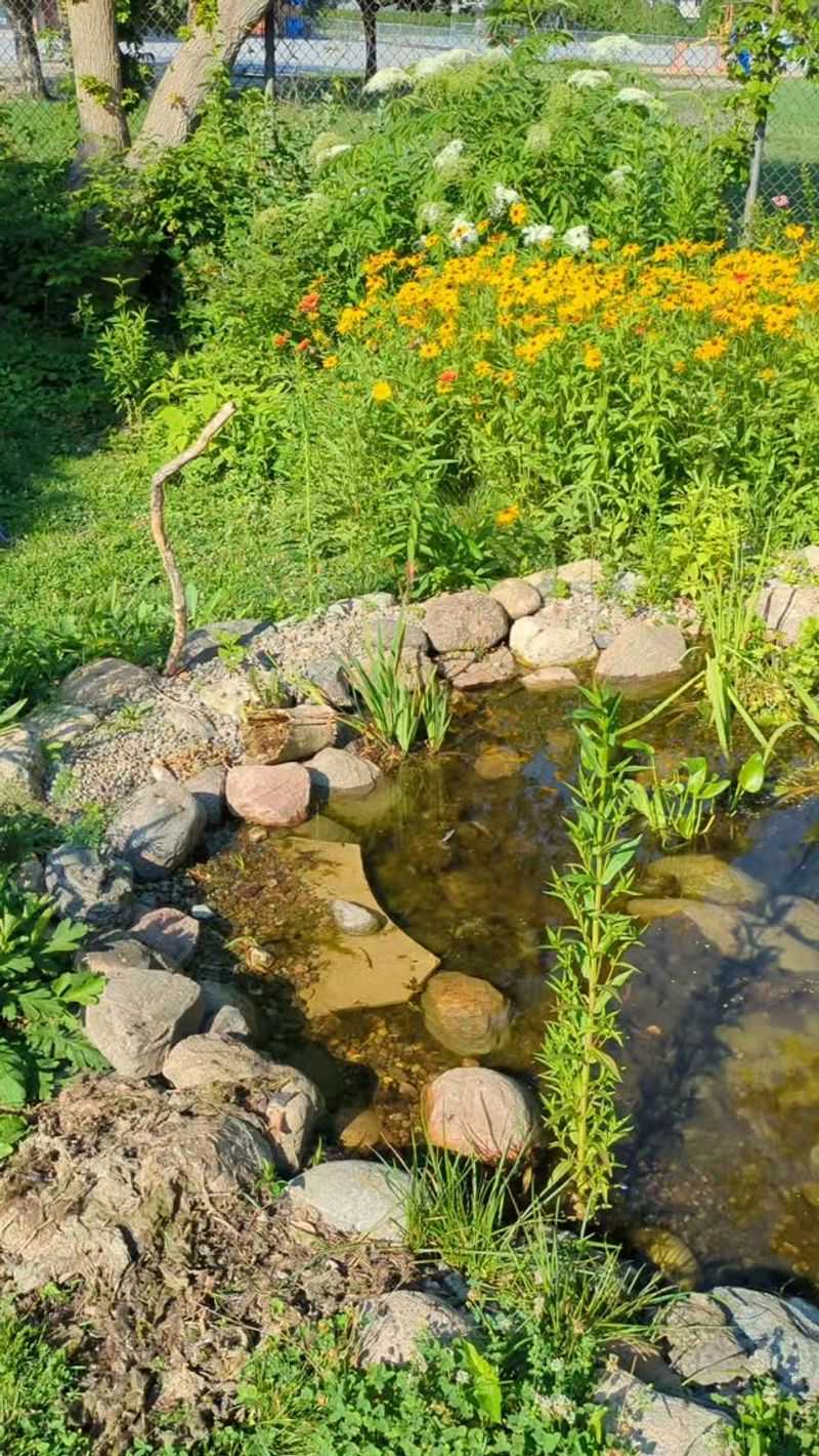 Add shade, shallow water, and shelter