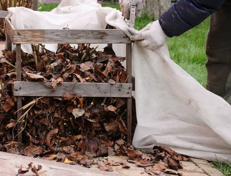 Add winter protection only for vulnerable plants and sites